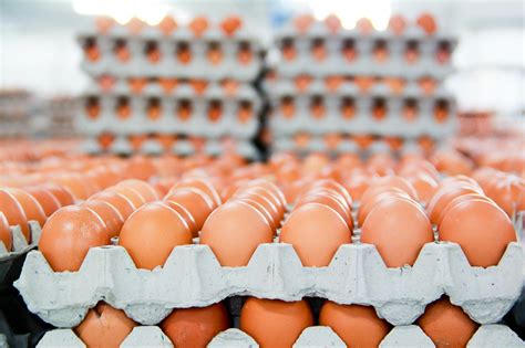 Buy Egg Products At Sale Prices Online .